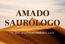 Amado Saurólogo 11 de septiembre 2020