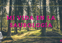 Mi vida en la Saurología