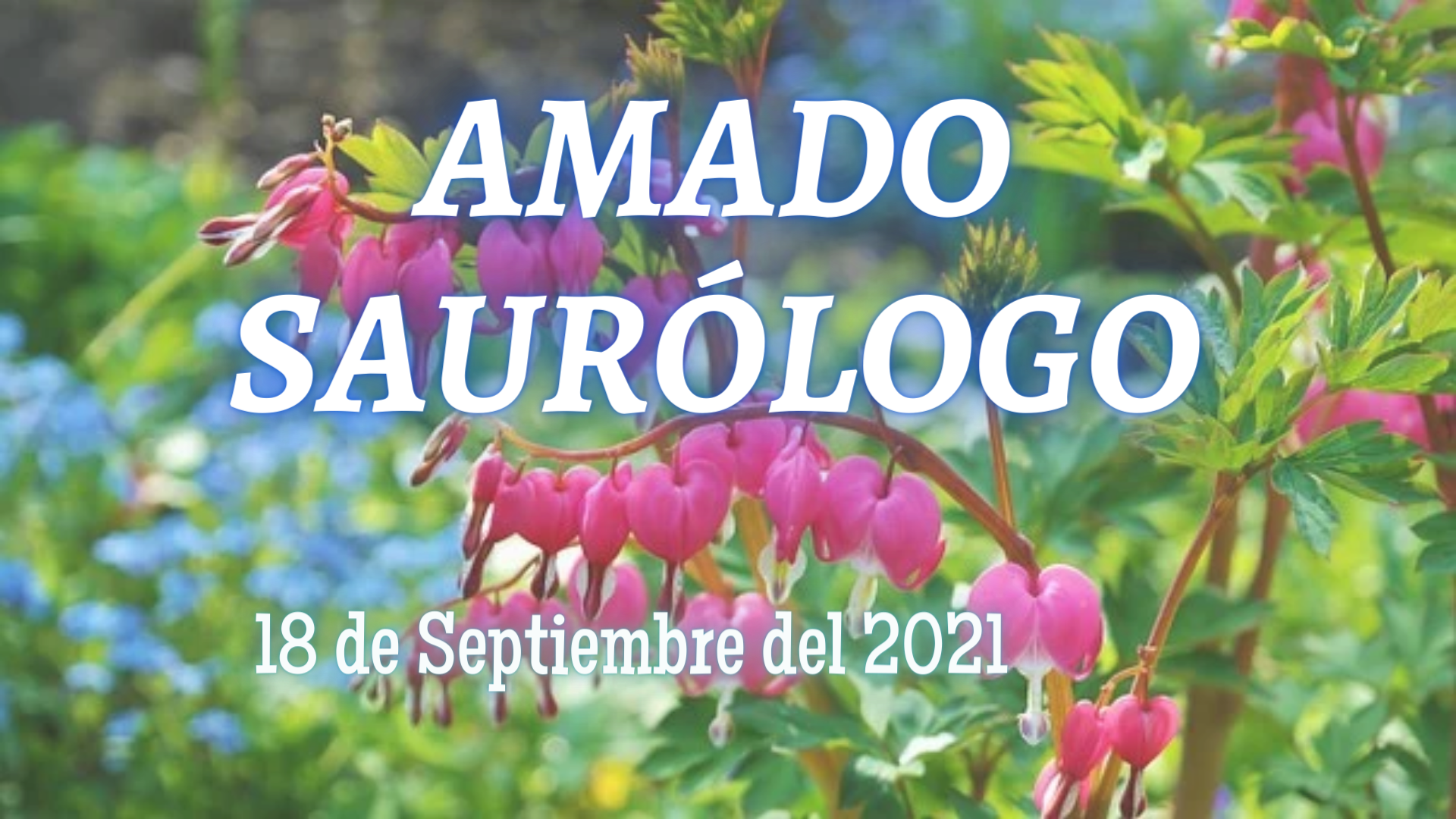 Amado Saurólogo 18 de septiembre 2021