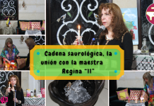 Cadena saurológica, la unión con la maestra Regina “11”