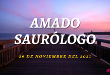Amado Saurólogo 29 de noviembre 2021