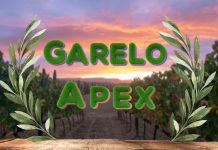 Garelo Apex – 2023