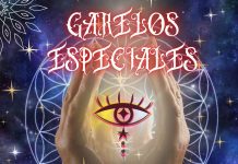 Garelos especiales Dango – 2023