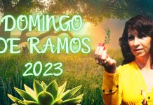 Domingo de ramos con la Maestra Regina «11» -2023