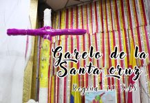 Garelo de la Santa Cruz – Regina «11» – 2024