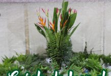 Garelo de Juan el Bautista – 2024