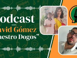 Cuéntanos tu historia 🎬 – Invitado David Gómez «Maestro Dogos».