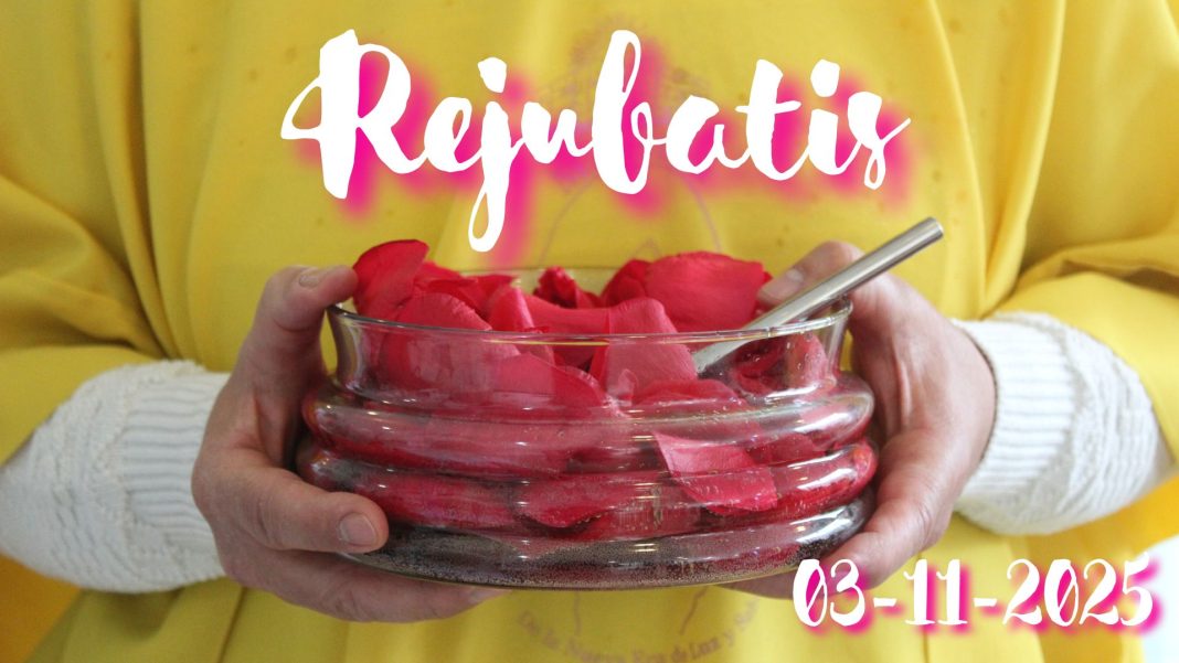 Anillo de luz #70 lerbe