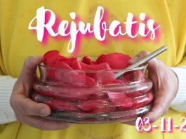 Rejubatis – 03 de Noviembre del 2025