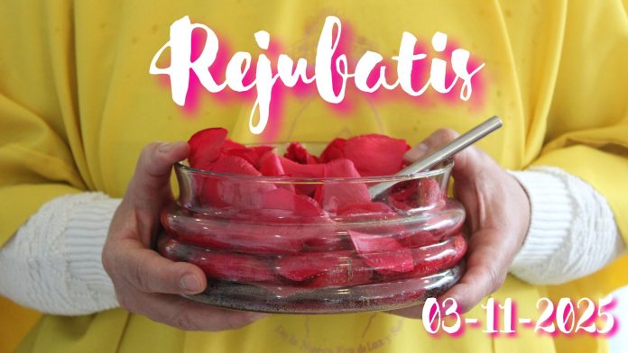 Anillo de luz #70 lerbe