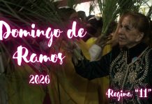Domingo de Ramos con Regina «11» – 2026
