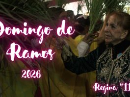 Domingo de Ramos con Regina «11» – 2026