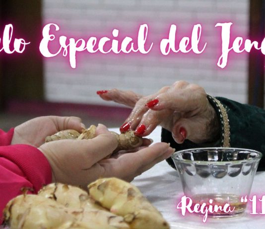 Garelo Especial del Jengibre con la Maestra Regina «11»