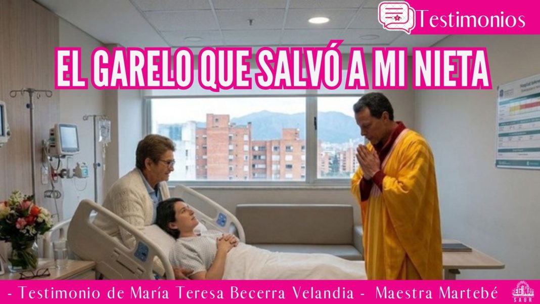 Testimonios (20)
