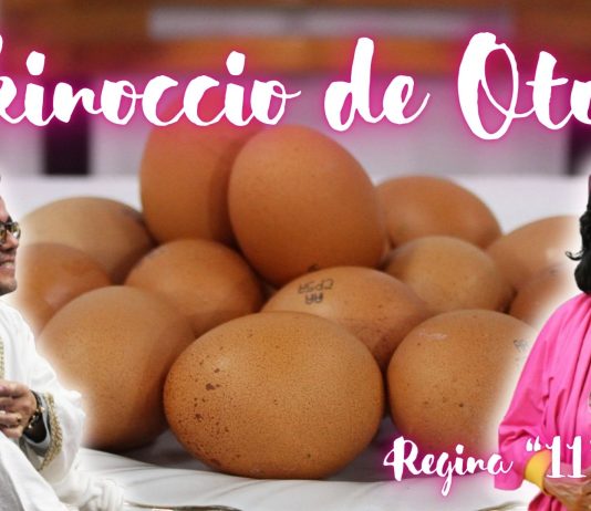 Ekinoccio de Otoño – Galería fotográfica – 2026